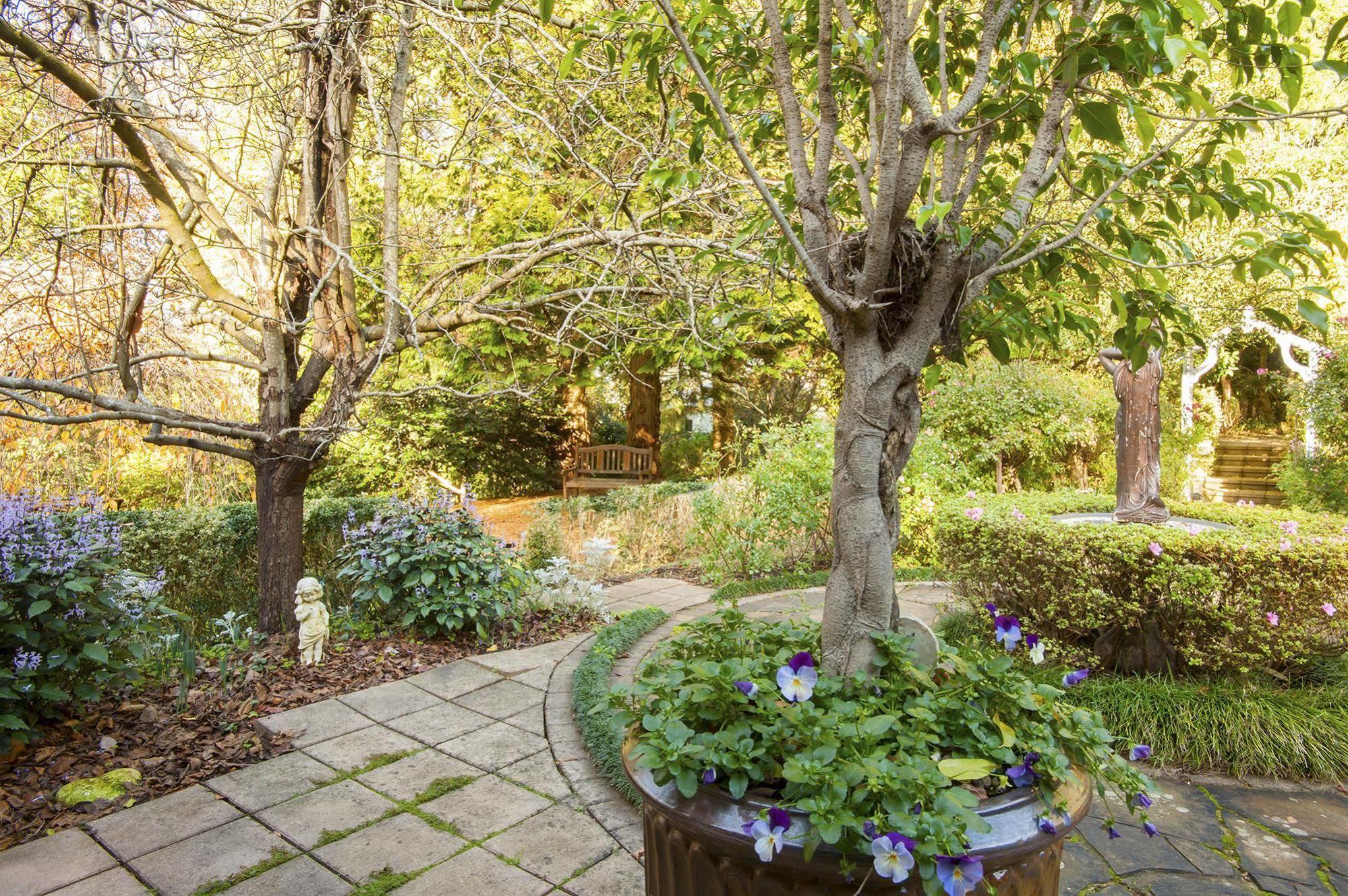 Clarendon Cottages Sassafras Bagian luar foto