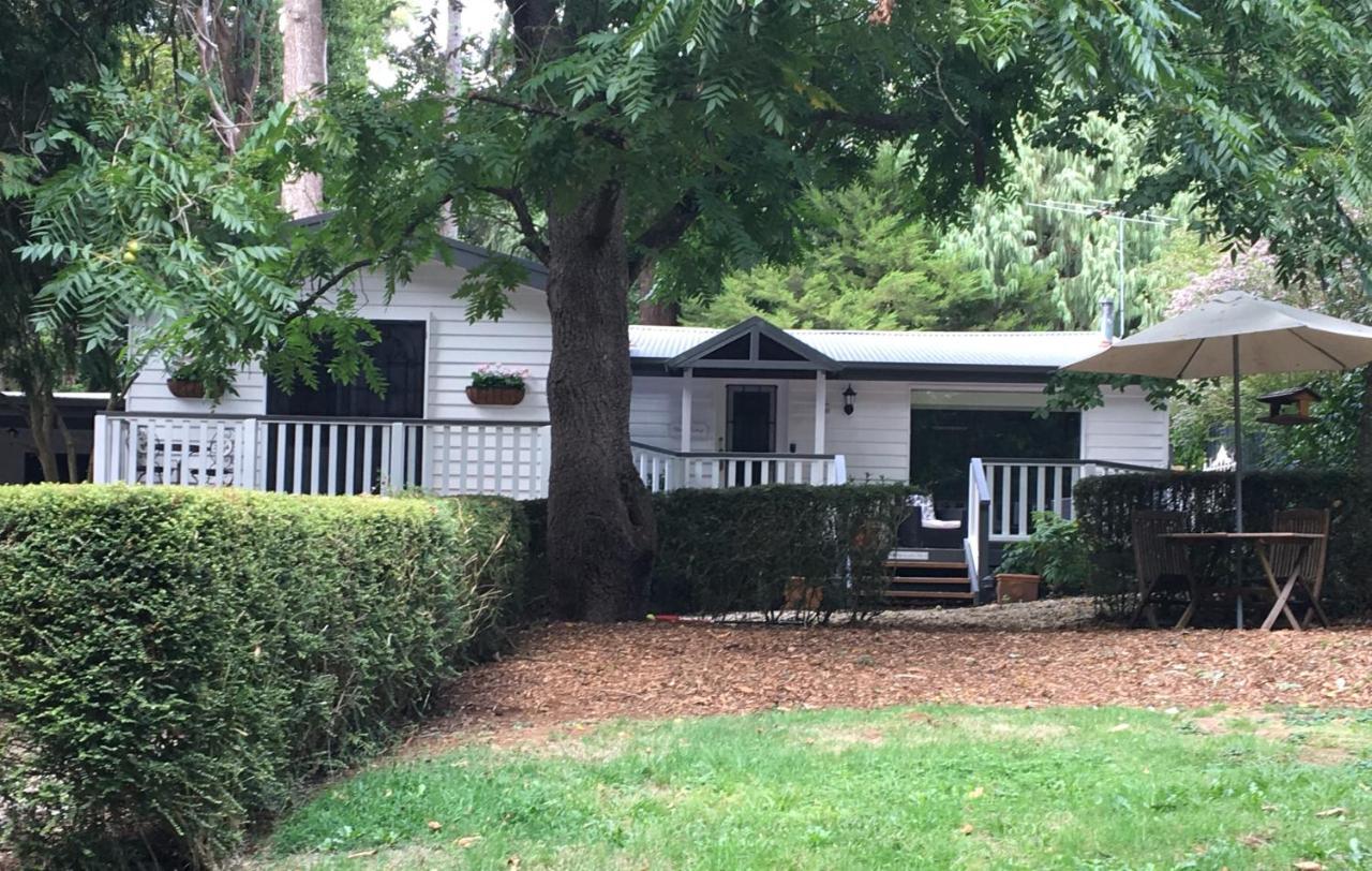 Clarendon Cottages Sassafras Bagian luar foto