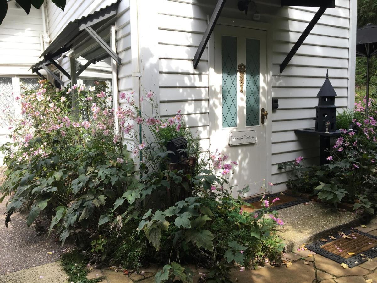 Clarendon Cottages Sassafras Bagian luar foto