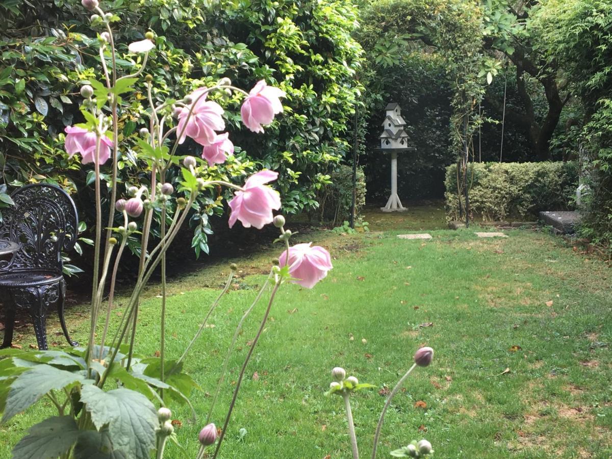 Clarendon Cottages Sassafras Bagian luar foto
